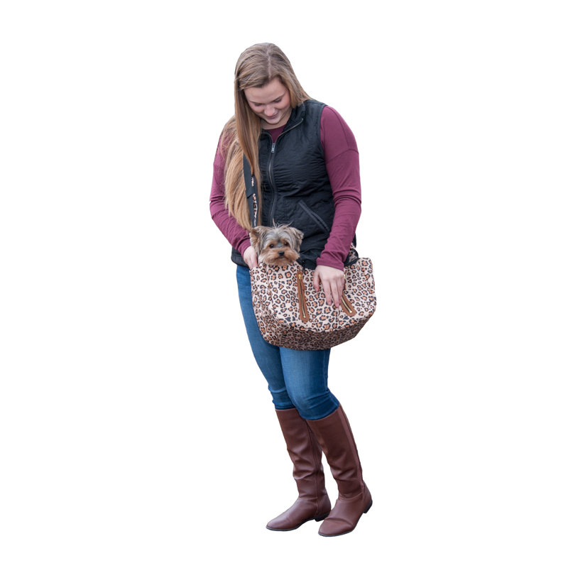 Pet Carrier