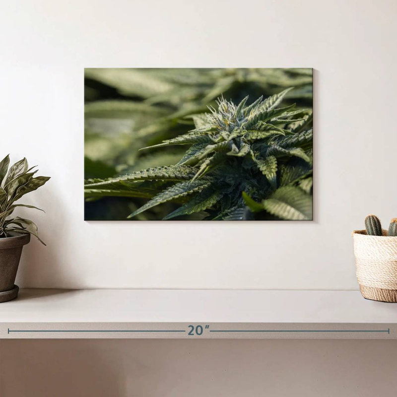 Crystallized Marijuana Plant, 8" H x 12" W