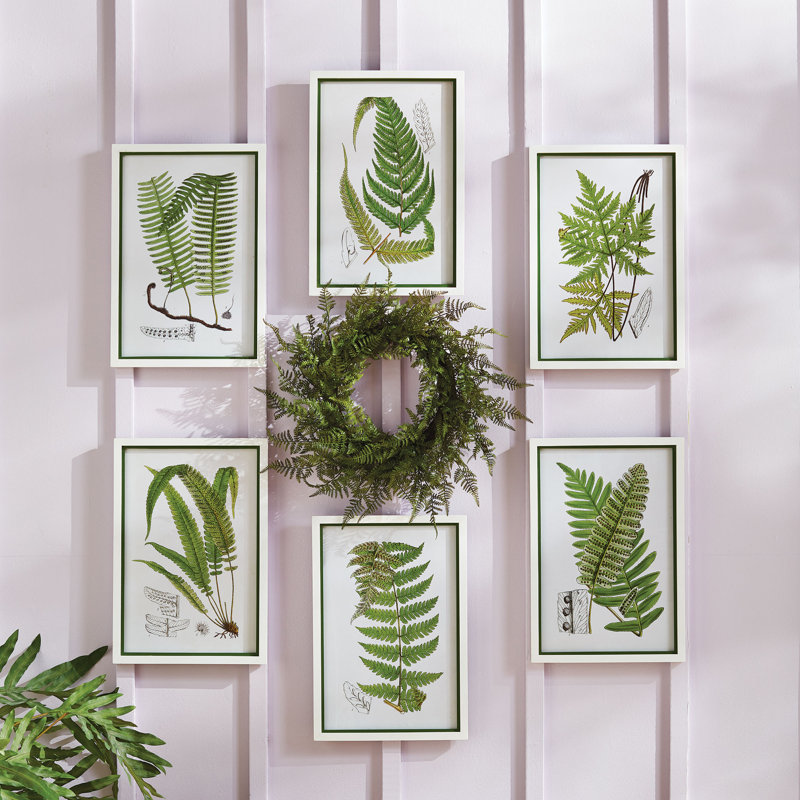 Sannois Layered Fern - ensemble de 6 peintures encadrées
