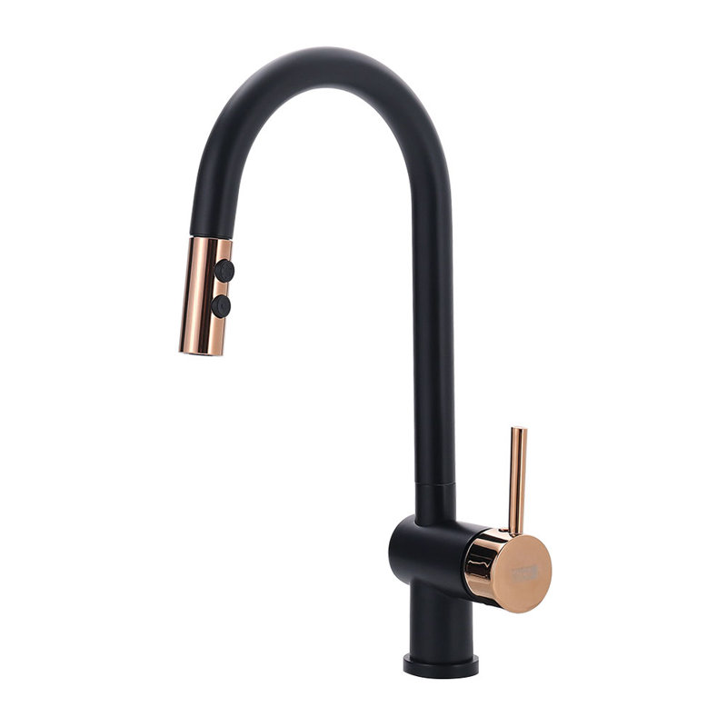 Belfry Kitchen Pull Down Kitchen Faucet