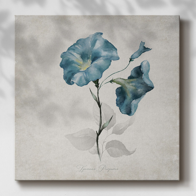 Morning Glory sur toile, H 40 po x l 40 po x P 1,5 po