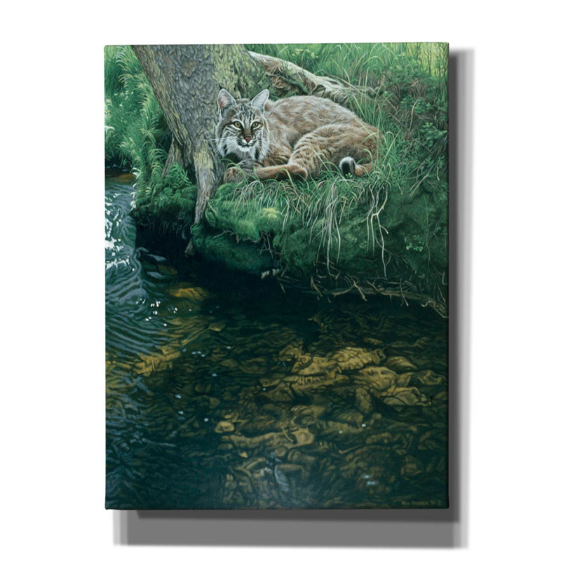 «Summer Stream Bank on Canvas» par Ron Parker, reproduction, H 54 po x l 40 po x P 1,5 po