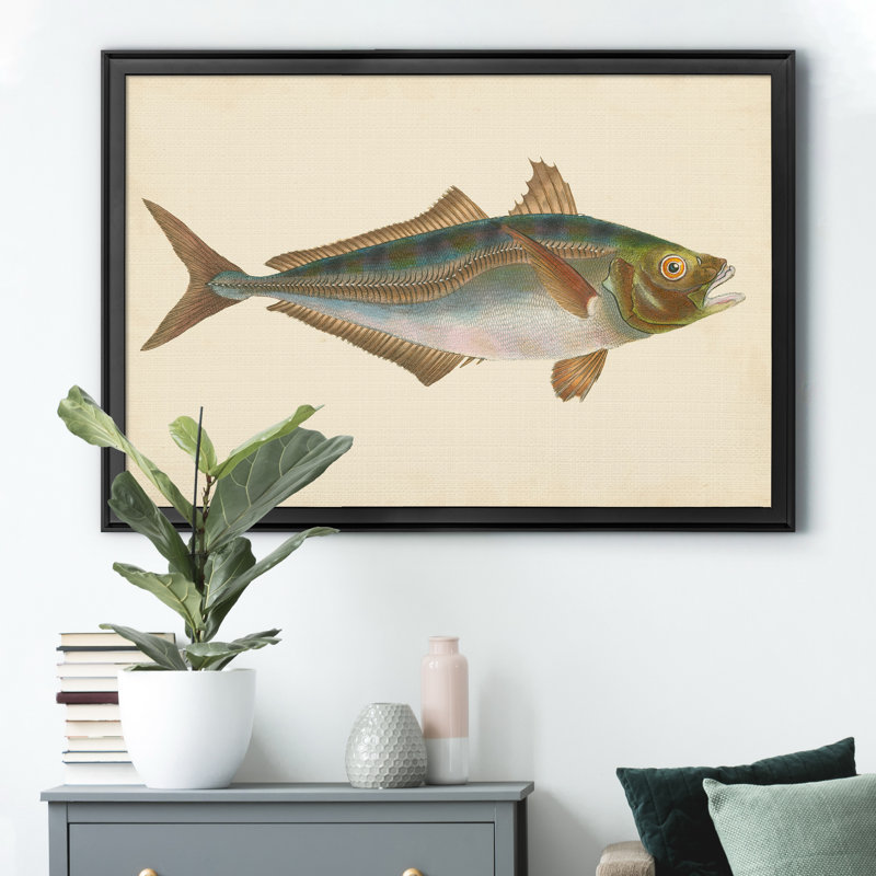 «Donovan Antique Fish III», impression sur toile encadrée, H 26,5 po x l 36,5 po x P 1,5 po, Noir