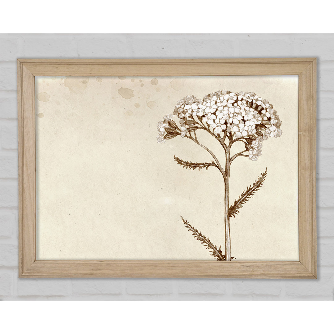 Floral Beauty Sepia - Druck