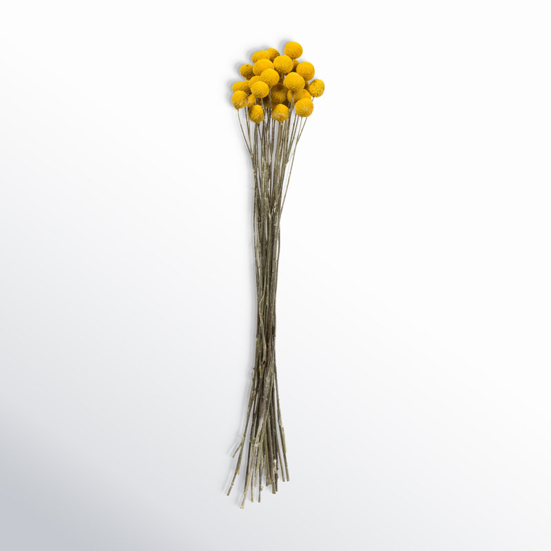 Preserved Arrangement