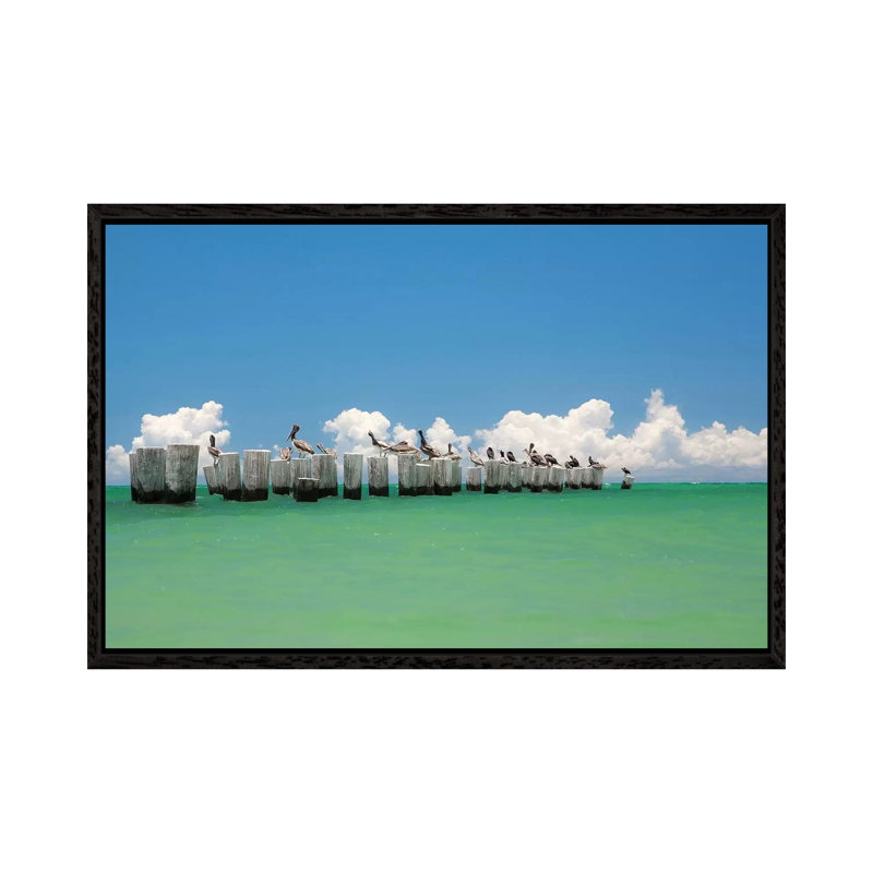 Gull Conference by Verne Varona - Gallery-Wrapped Canvas Giclée on Canvas, 66.04 cm H x 45.72 cm W, Black Floated Frame