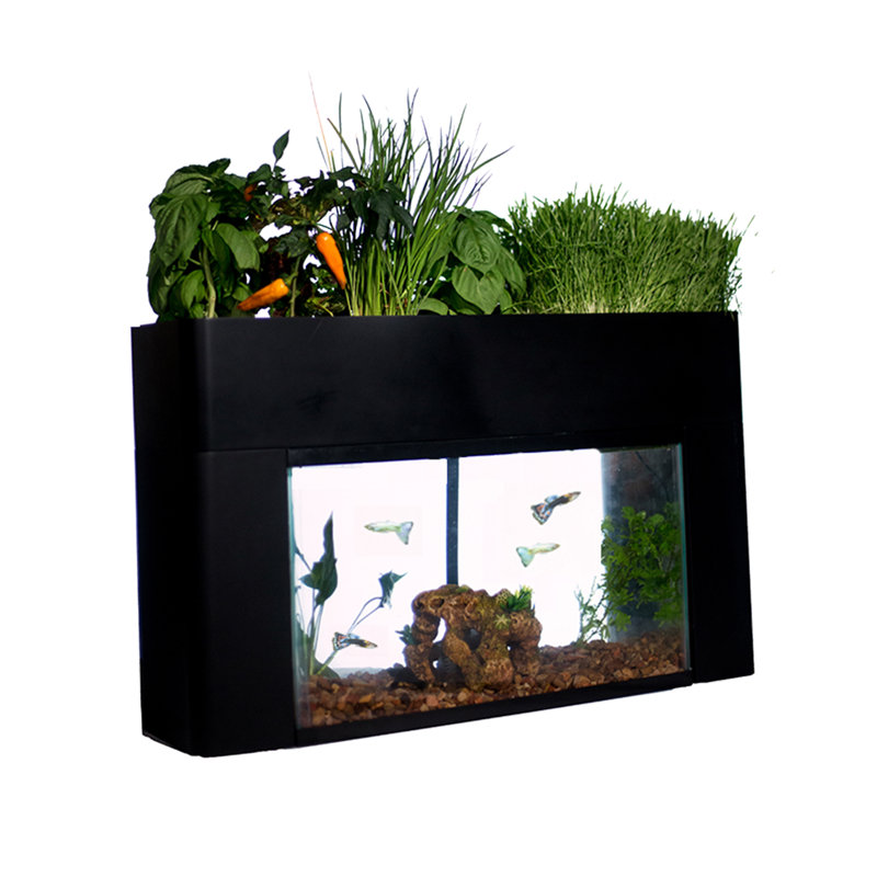 Jardin AquaSprouts
