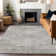 Premium Machine Washable Prisco Taupe Rug