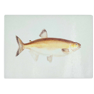 Glass Illustration of A Freshwater Herring by F.E. Clarke Chopping Board