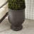 Timmins Urn Planter