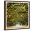 Abri de chênes verts - Reproduction de photo encadrée sur papier-2068939433