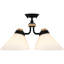 Gelsomina 4-Light Matte Black Semi-Flush Mount Light
