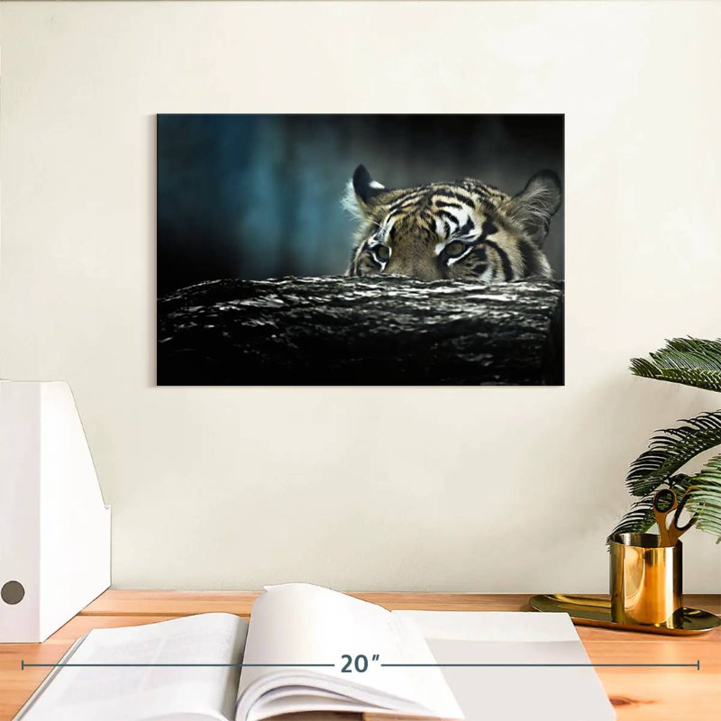 Chasse au tigre Brampt, H 8 po x l 12 po