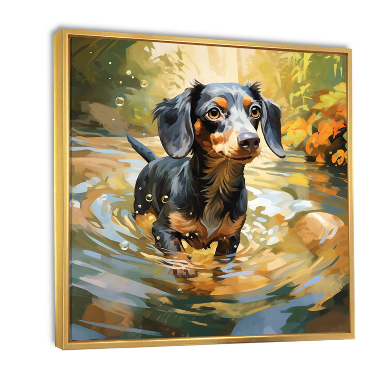 Mignon teckel jouant dans la rivière I sur toile, Cadre flottant doré, H 24 po x l 24 po x P 1 po