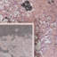 Tapis rose / gris à motif abstrait Brentley-405721752