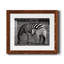 " Botswana Afternoon "-33906371-33906383