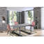 Dafne Glass Top Metal Base Dining Table-38094825