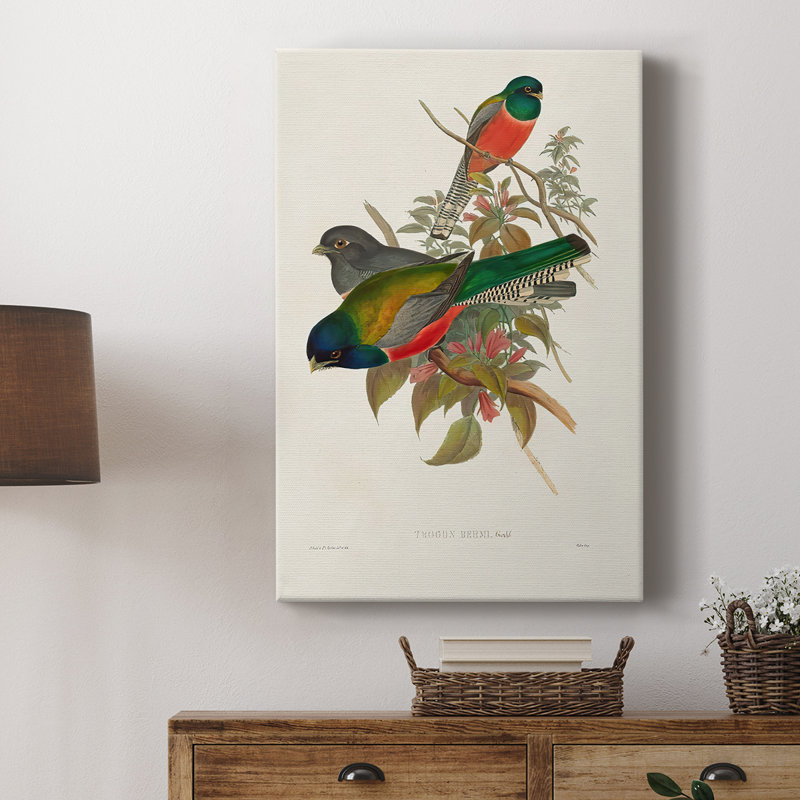 ElegantTrogonsVII - Cavas de galerie sur mesure