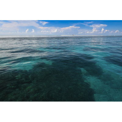 «Tubbataha Reef» par Simongurney - Photographie sur toile tendue