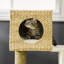 Jazmine 100cm H Cat Tree