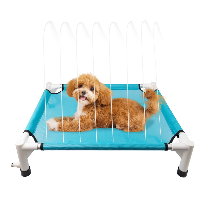 Lit pour chien Chill Out Sprinkling Pet, H 7 po x l 41,3 po x P 29,5 po