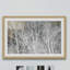 Single Picture Frame Print-18641076