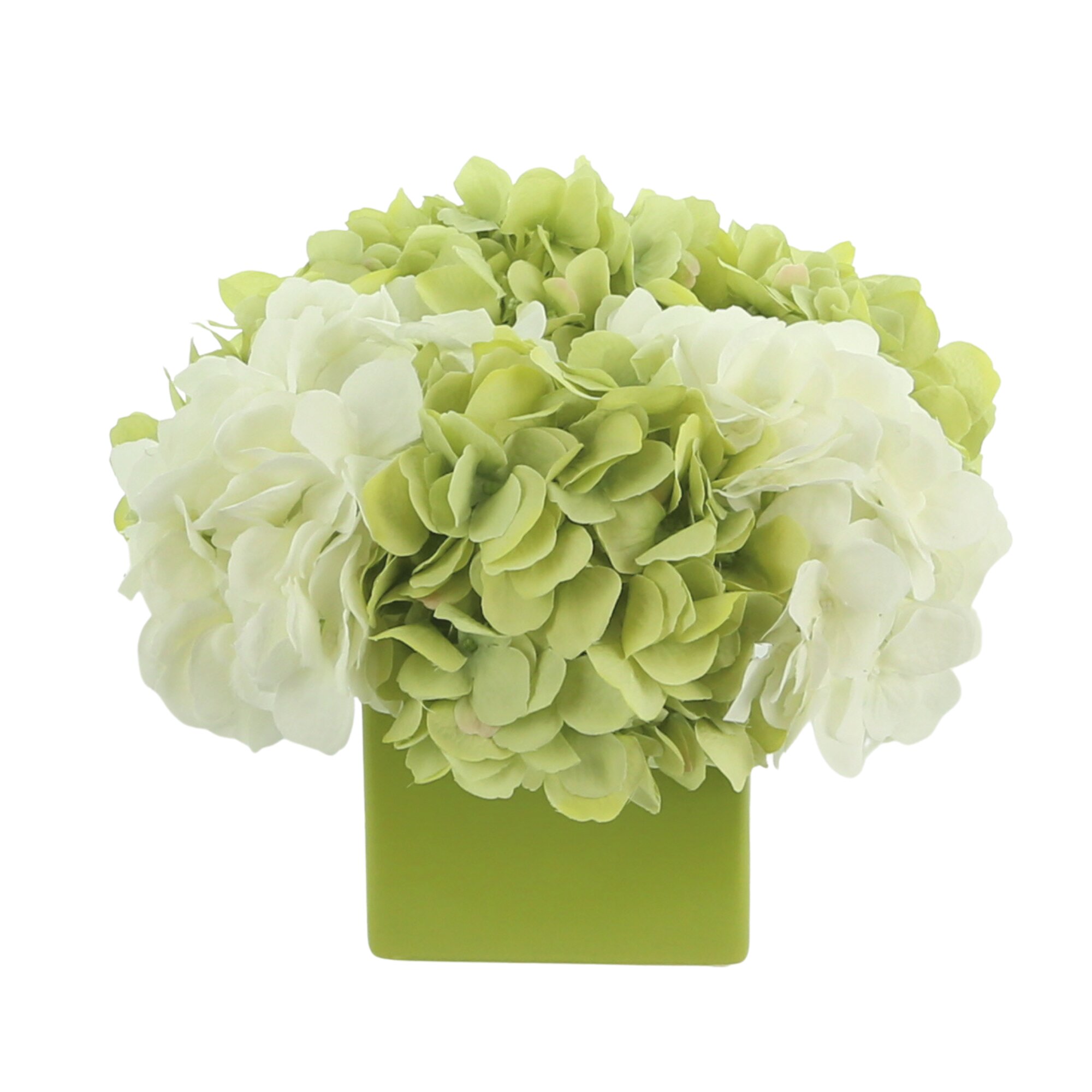 Primrue Hydrangea Floral Arrangement In Pot 