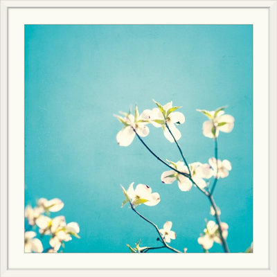 Kema " Delicate " by Carolyn Cochrane