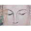 2 Piece Wrapped Canvas Painting Set