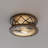 2-Light Flush Mount Ceiling Light