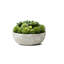 Succulent dans un pot-1268043055
