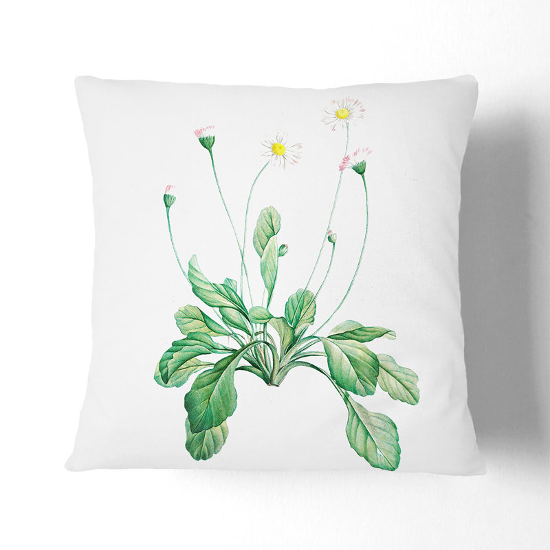 Daisy Flowers Floral Square Throw Cushion, 55cm H x 55cm W x 20cm D