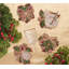 Candy Cane Bow 4 Piece Coaster Set in a Gift Bag