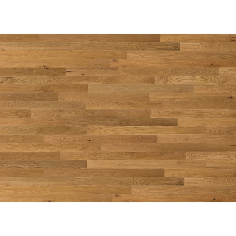 Planches de bois Timberchic Oak, Chêne naturel, L 3 po