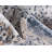 Parrado Ikat Indoor Rug-61862829