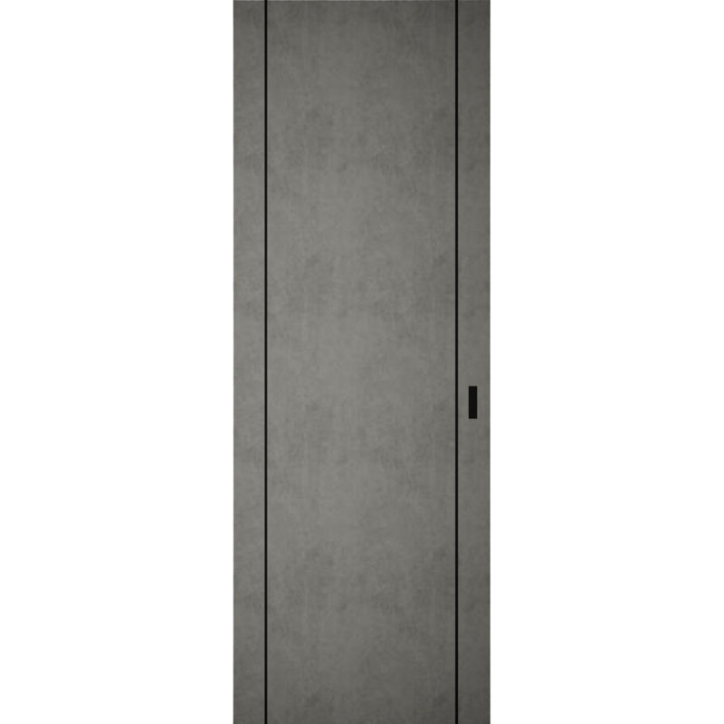 Hidden Barn | Planum 0017 | Sturdy Finished Flush Modern Doors | Magic Concealed Sliding Set, 24 po x 80 po, Béton