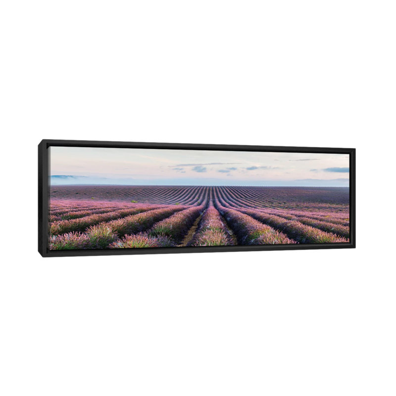 «Lavender Field, Provence, France» par Matteo Colombo - Estampe numérique sur toile tendue avec châssis, Toile tendue