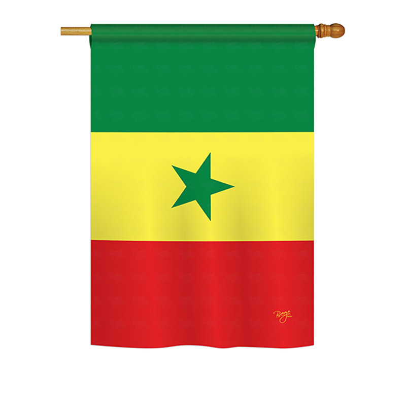 Drapeau de maison en polyester 2 côtés sénégal, H 18,5 po x l 13 po