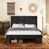 Antique Black is out of stock