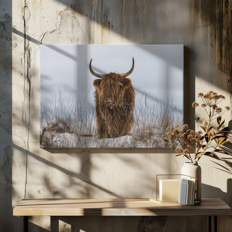 Wrapped Canvas Print, 50.8 cm H x 76.2 cm W