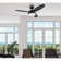 Alloy 42'' Ceiling Fan with Light Kit