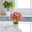 Orchid in Flat Glass Vase-2109360097