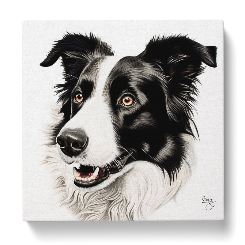 Border Collie Drawing - No Frame Print, 50cm H x 50cm W x 3cm D