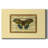 Butterfly Harmony II " Butterfly Harmony II "-1354830320