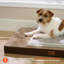 Lit pour chien ComfyFleece Cosy Crate-121145520-121145518