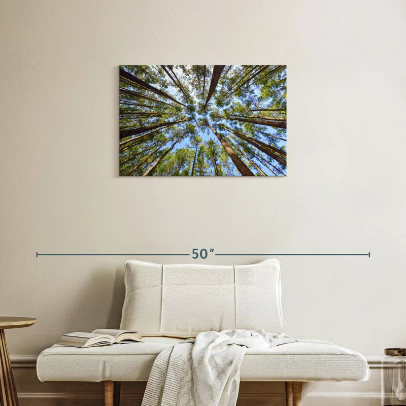 Harnek Towering Pine Trees, 20" H x 30" W