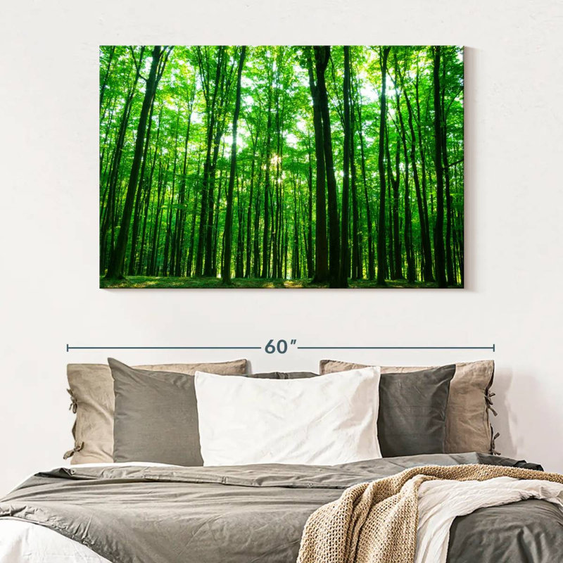Alvord ensoleillé vert forêt, H 34 po x l 51 po