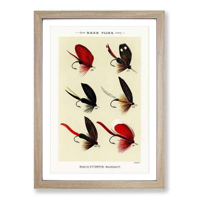 Bass Fishing Flies Versions 3 by Mary Orvis Marbury - Picture Frame Painting Print, 48cm H x 36cm W x 2cm D, Oak Framed