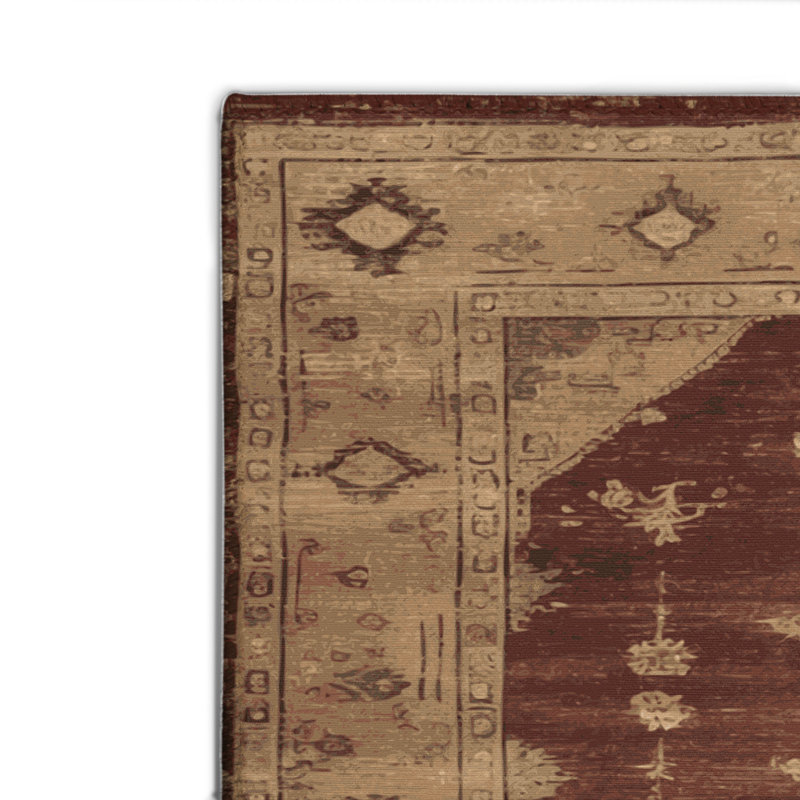 Tapis intérieur et extérieur brun Overdyed, Rectangle 4pi x 6 pi