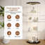 Display Cabinet-640038381